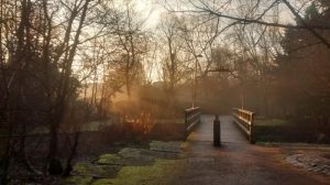 Footpath and bridge through trees in Russia Dock Woodland